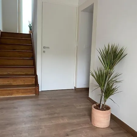 Frühstückspension Vera Park&wellness Belluno