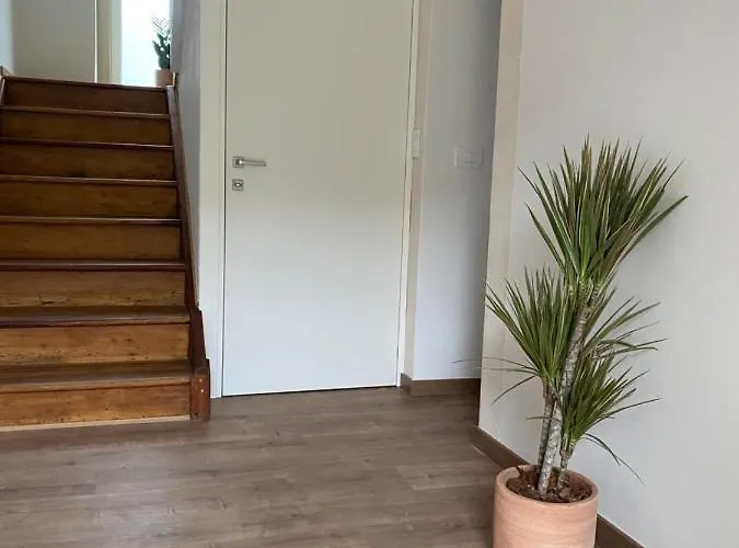 Bed and Breakfast Vera Park & Wellness Μπελούνο